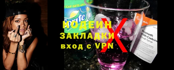 индика Новозыбков