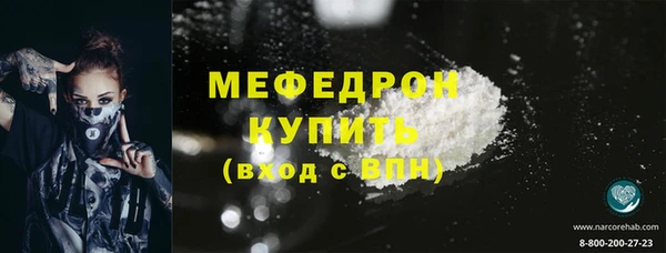 индика Новозыбков