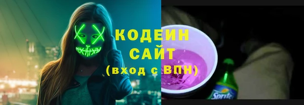 индика Новозыбков