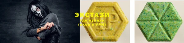 индика Новозыбков