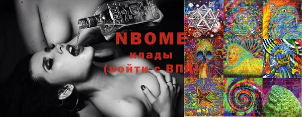 индика Новозыбков