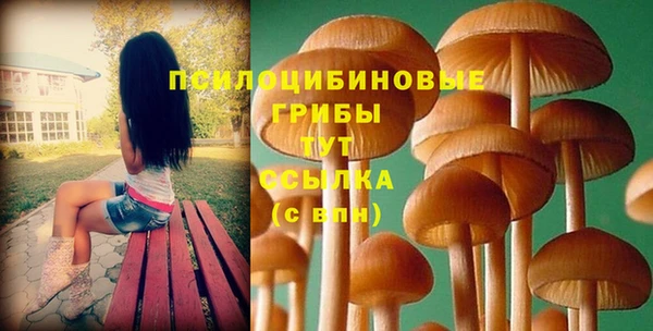 мдма Сосновоборск