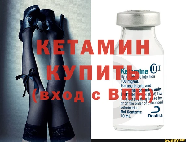 индика Новозыбков