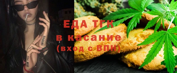 индика Новозыбков