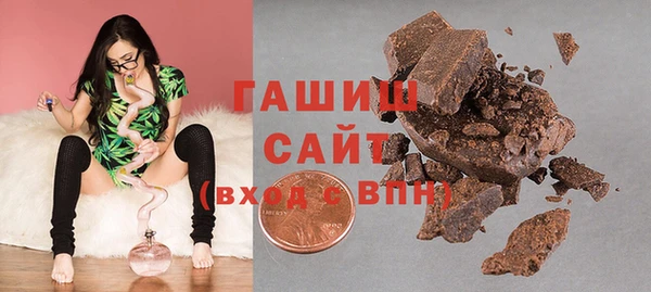 индика Новозыбков