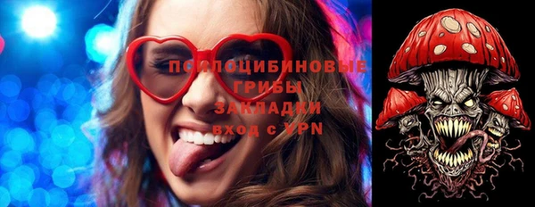 индика Новозыбков