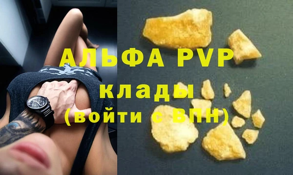 индика Новозыбков