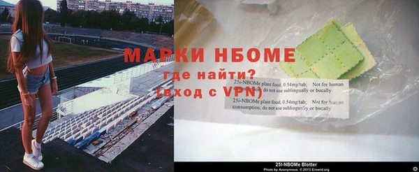 индика Новозыбков