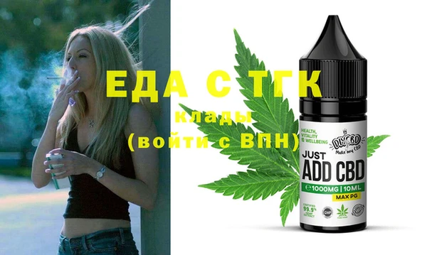индика Новозыбков