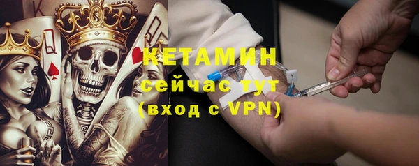 индика Новозыбков