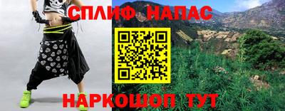 гашик Волжский