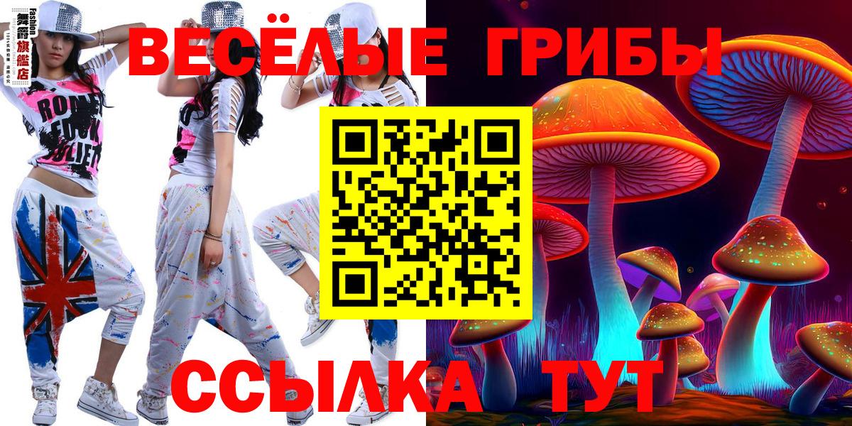 Псилоцибиновые грибы Psilocybine cubensis  Вольск 