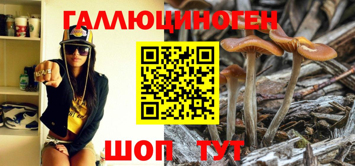 Галлюциногенные грибы мицелий Вольск