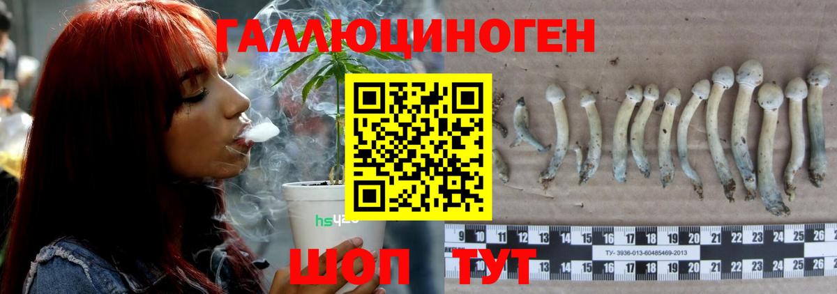 Псилоцибиновые грибы MAGIC MUSHROOMS Вольск