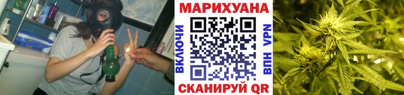 Шишки марихуана сатива  Вольск 